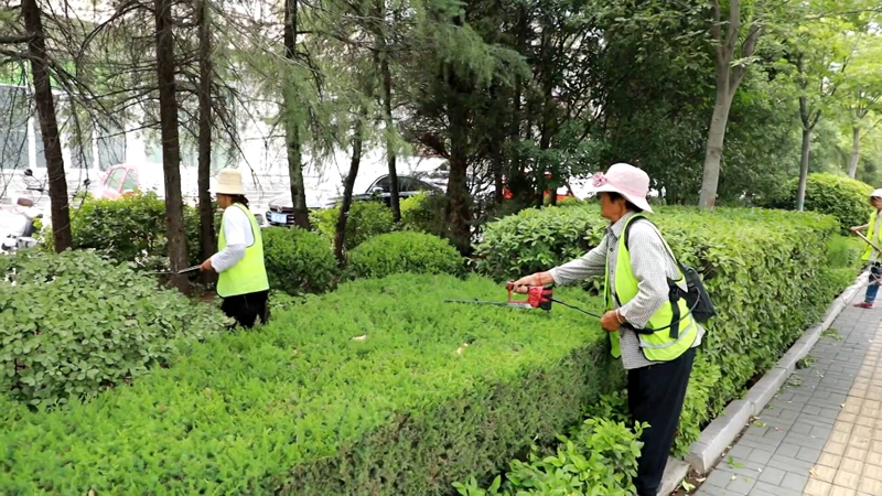 小区绿化养护