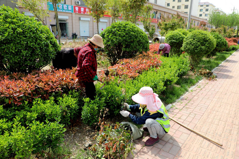 别墅庭院设计:打造梦幻田园诗篇